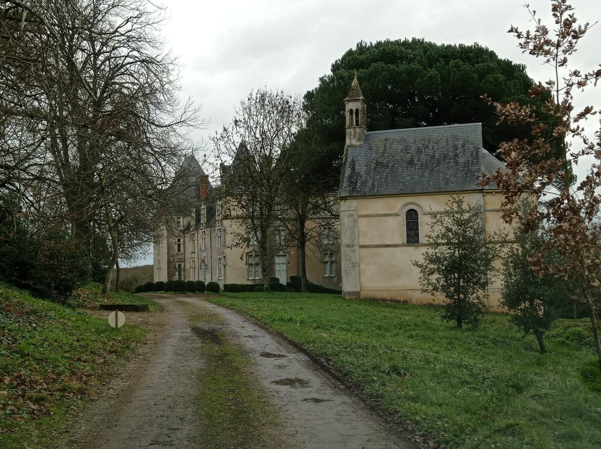Img 20230127 122527