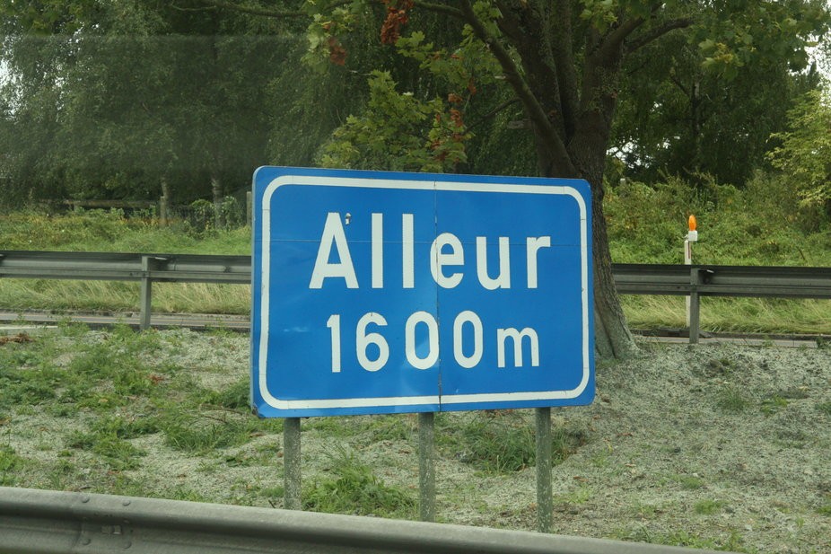 Img 6500