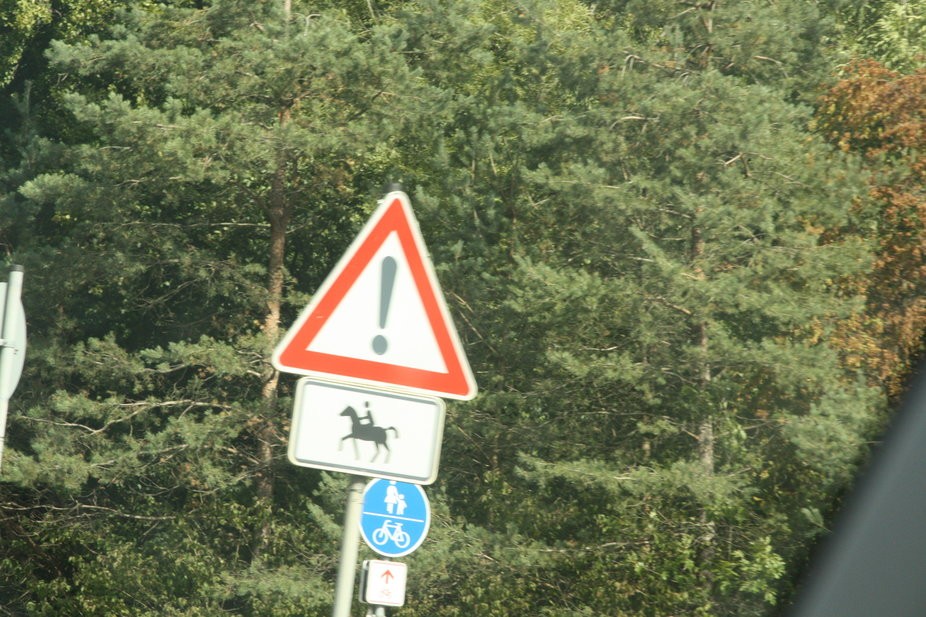 Img 6597