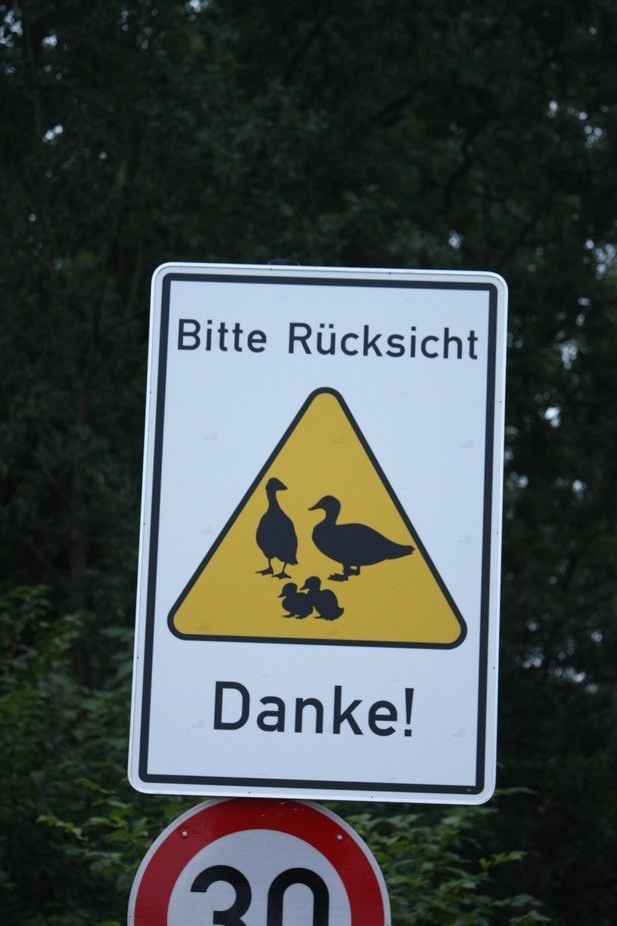 Img 6910